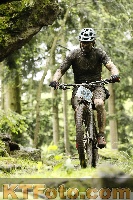 Photo 4243612