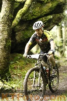 Photo 4243792
