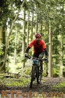 Photo 4243795