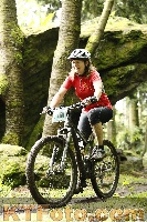 Photo 4243821