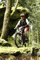 Photo 4243895