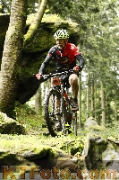 Photo 4243911