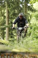 Photo 4243942