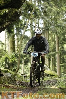 Photo 4243981