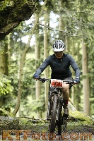 Photo 4243983