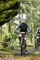 Photo 4243984