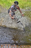 Photo 4249636
