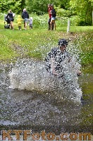Photo 4249648
