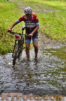 Photo 4249939