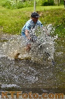Photo 4249957