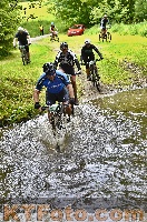 Photo 4249978