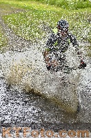 Photo 4250448