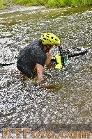 Photo 4250461