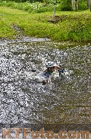Photo 4250597