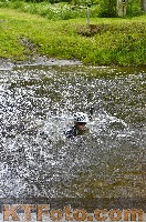Photo 4250598