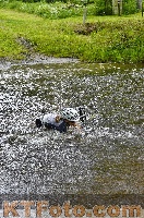 Photo 4250599