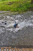 Foto 4250796