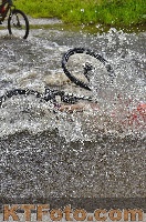 Photo 4250909