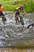 Photo 4250927
