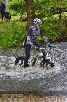 Photo 4251029