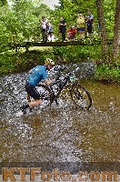 Photo 4251056