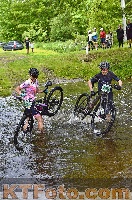 Photo 4251081