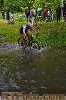 Photo 4251129