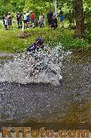 Photo 4251241
