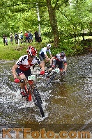 Photo 4251253