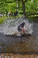 Foto 4251309