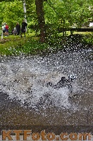 Photo 4251310