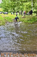 Photo 4251313