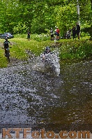 Photo 4251478