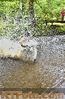 Photo 4251776