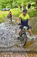 Photo 4251829