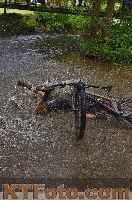 Photo 4251956