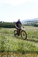 Photo 4244065