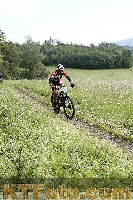 Photo 4244130