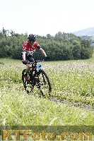 Photo 4244286