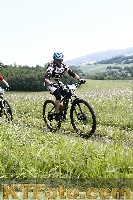 Photo 4244292