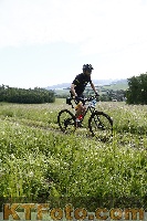 Photo 4244297