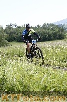 Photo 4244301