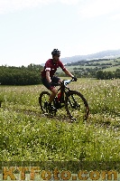 Photo 4244337