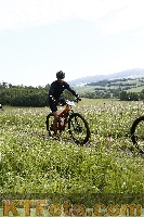 Photo 4244349