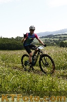 Photo 4244351