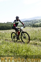 Photo 4244373