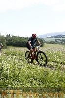 Photo 4244427