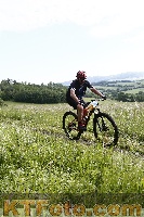Photo 4244428
