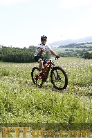 Photo 4244432