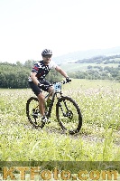 Photo 4244456